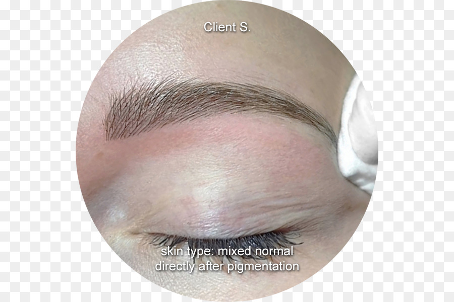 Microblading，Sourcil PNG