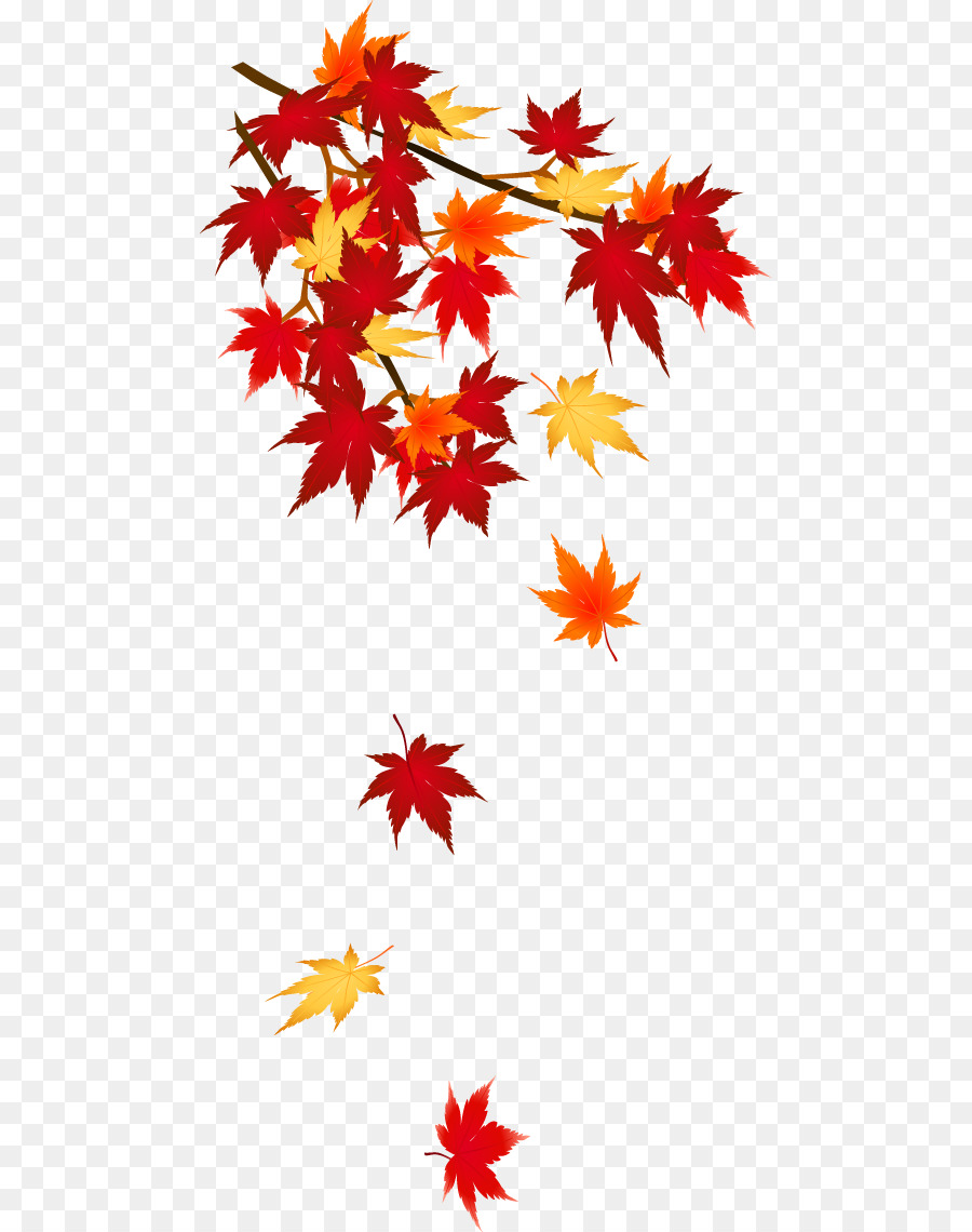 Couleur De Feuille D'automne，Automne PNG