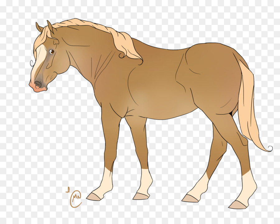 Cheval，équidé PNG