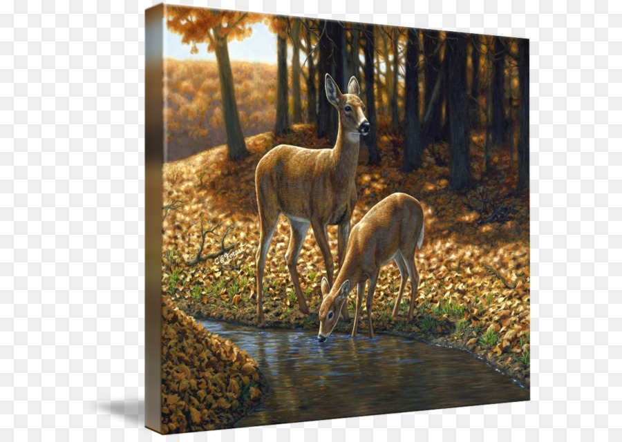 Cerf，Peinture à L Huile PNG