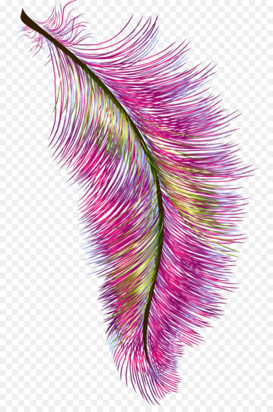 Plume Colorée，Rose PNG