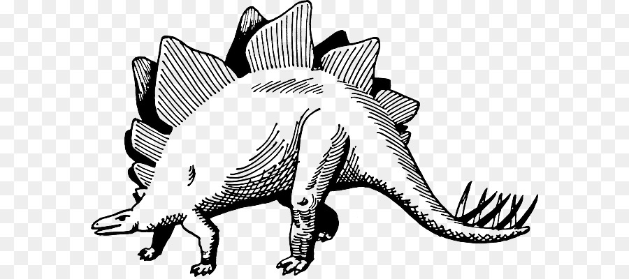 Stegosaurus，Dinosaure PNG
