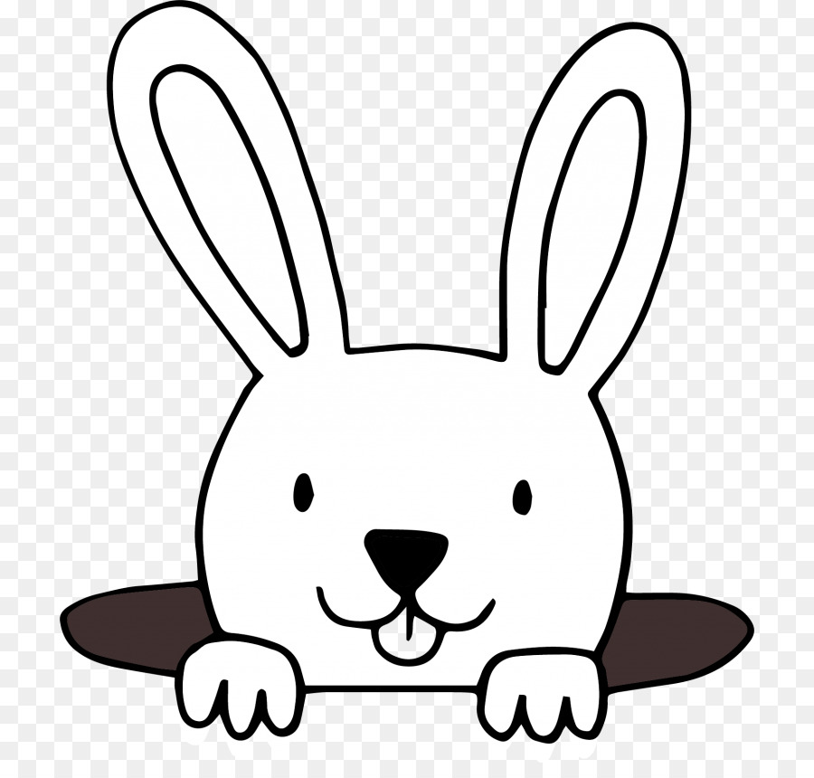 Lapin De Dessin Animé，Lapin PNG