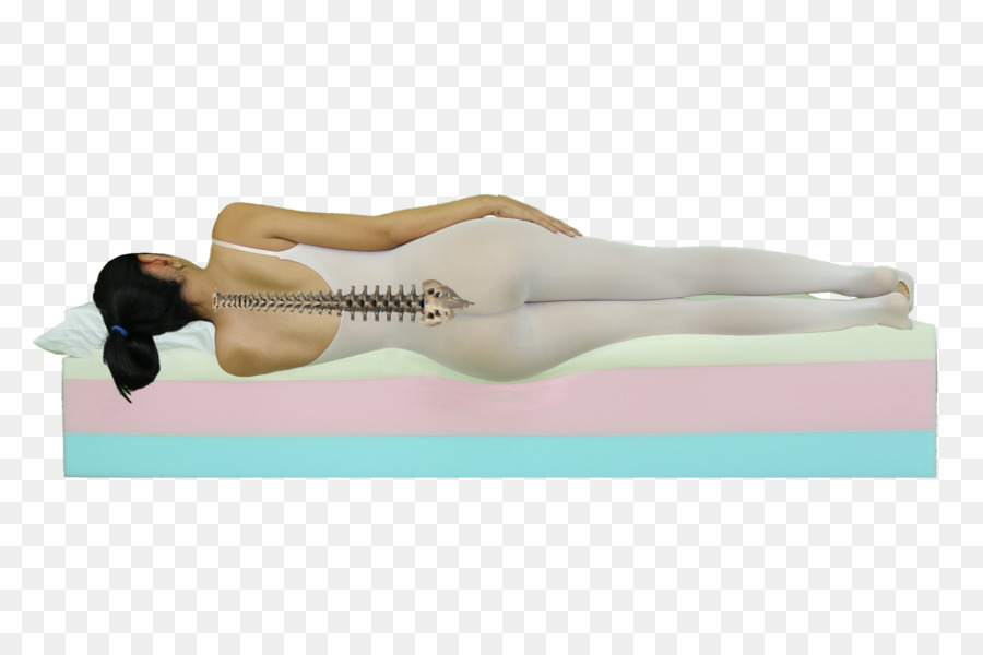 Yoga Pilates Tapis，L épaule PNG