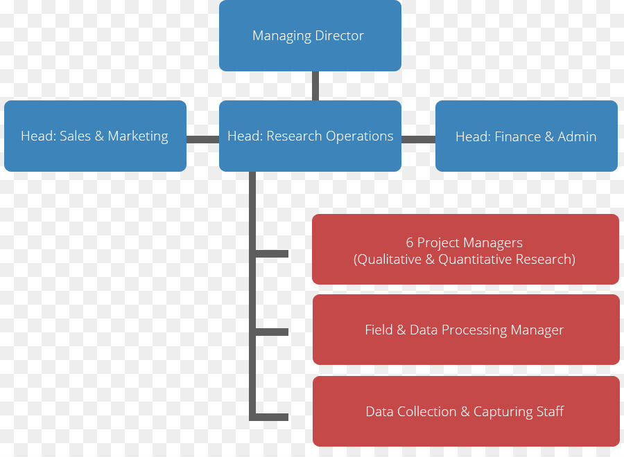 Organigramme，Organisation PNG