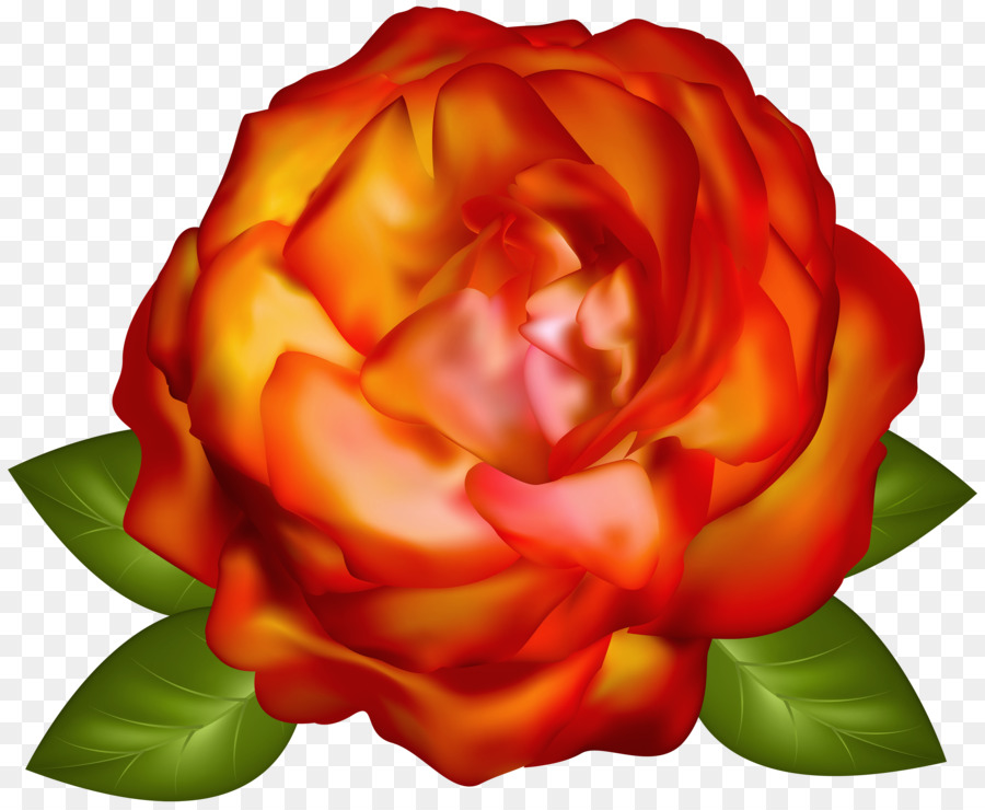 Fleur Rose，Fleurir PNG