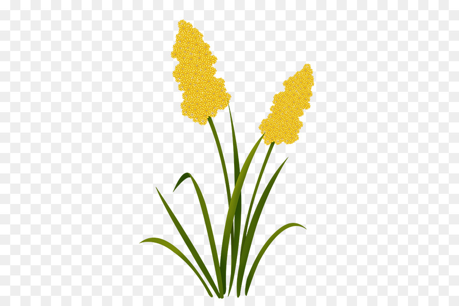 Pissenlit，Les Fleurs Coupées PNG