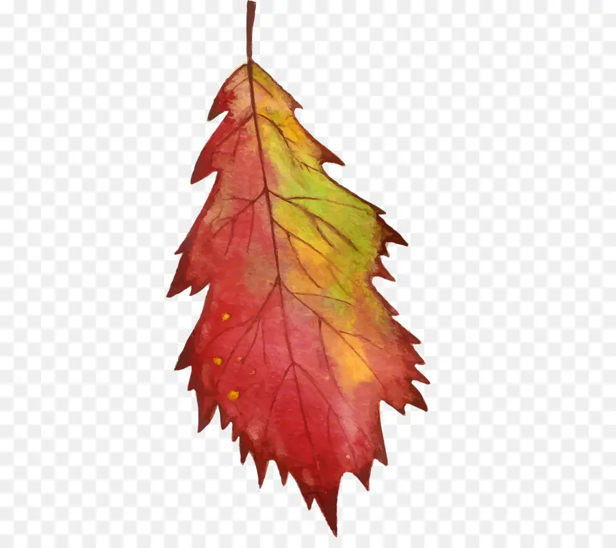 Feuille D'automne，Automne PNG