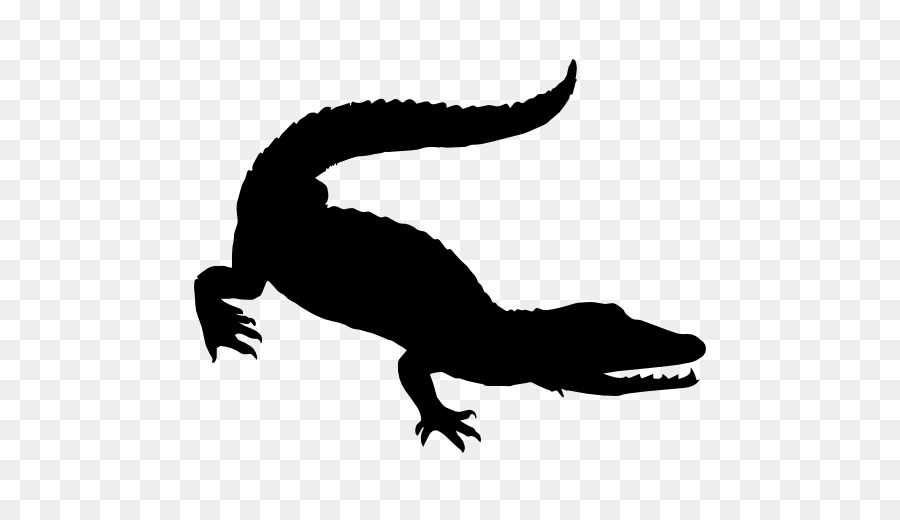 Crocodile，Reptile PNG