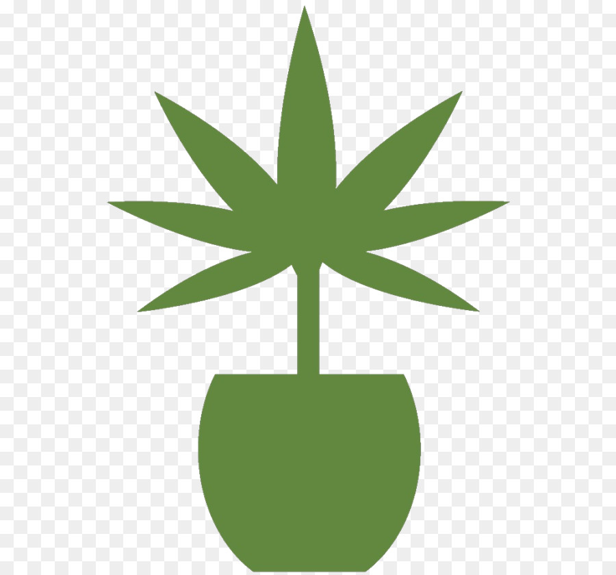 Le Cannabis Médical，Le Cannabis PNG