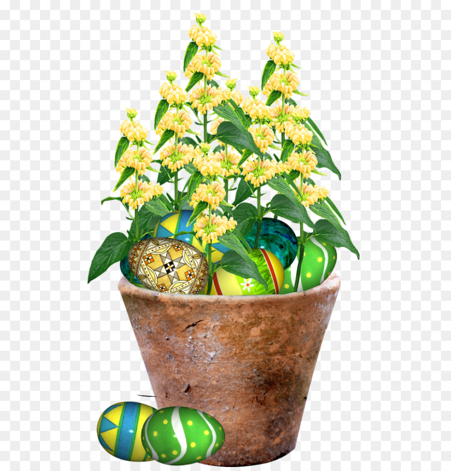 Plante D Intérieur，Flowerpot PNG