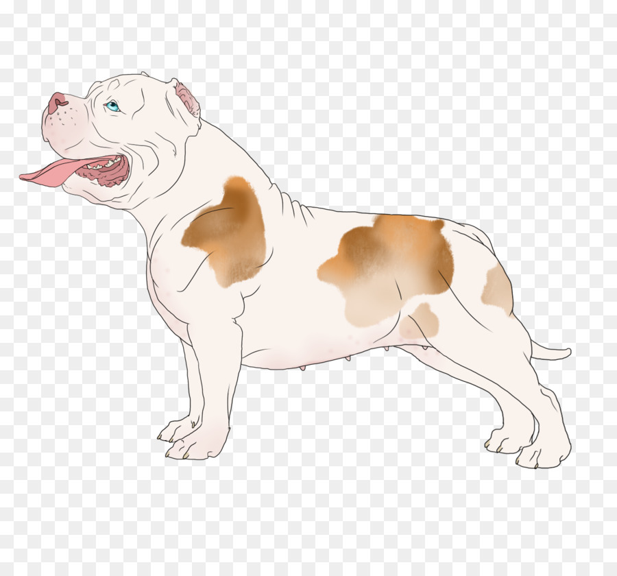 Chien，Animal De Compagnie PNG