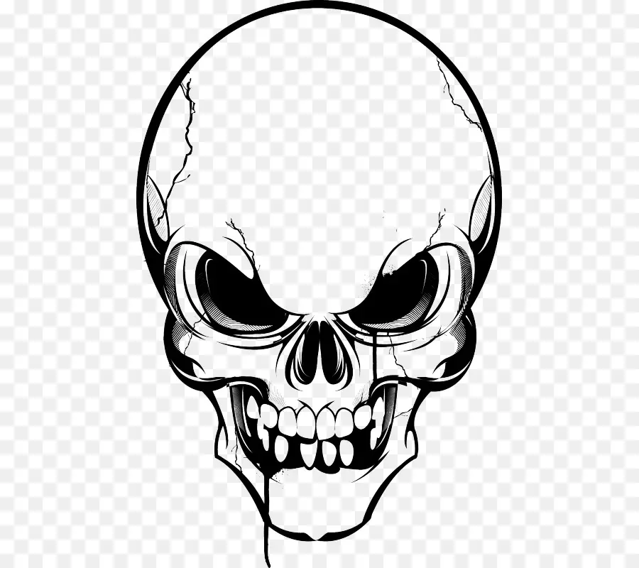 Crâne，Squelette Humain PNG