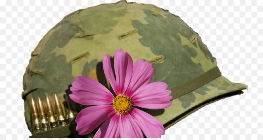 Casque Avec Fleur，Militaire PNG