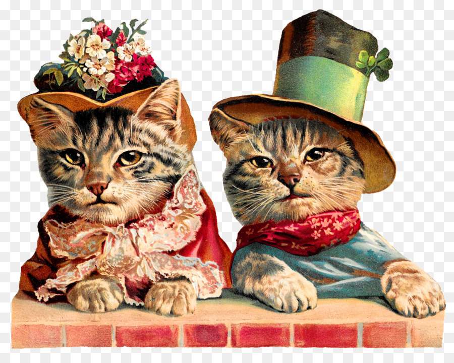 Chats，Chapeaux PNG