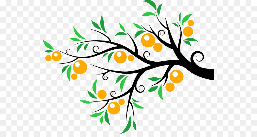 Orange，Arbre PNG