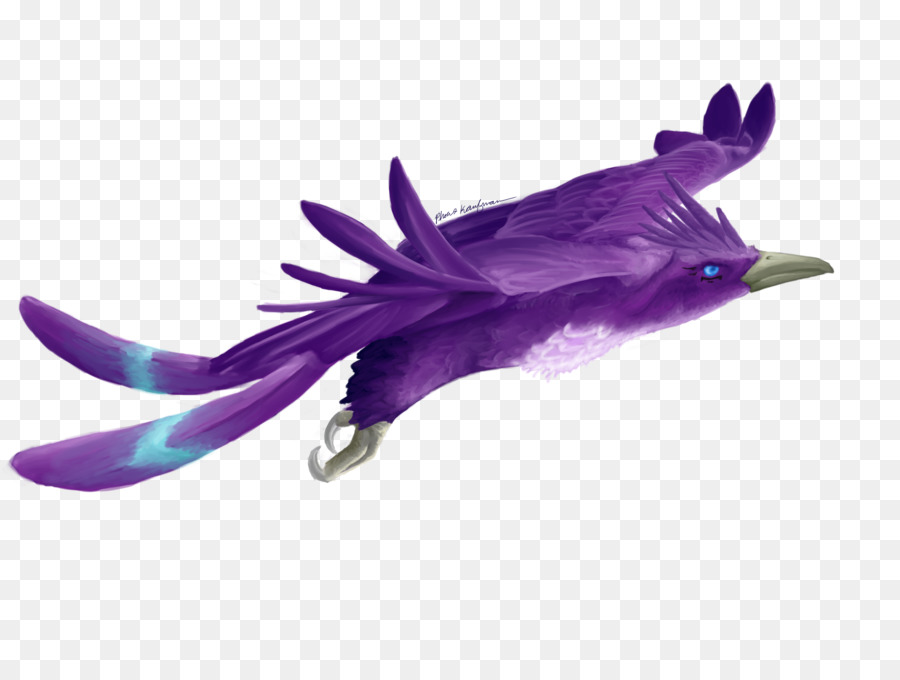 Oiseau，Violet PNG