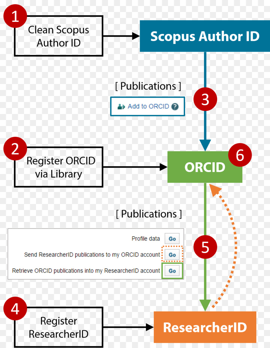 Université Polytechnique De Hong Kong，Orcid PNG