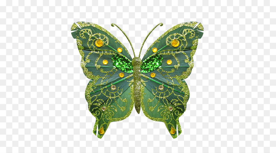 Papillon，Insecte PNG