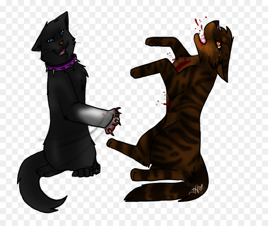 Chat，Tigerstar PNG