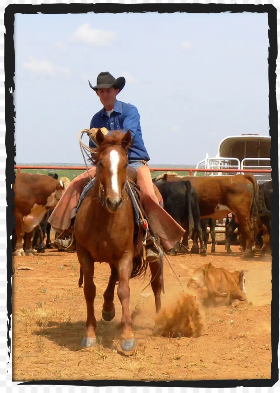 Cowboy à Cheval，Cow Boy PNG