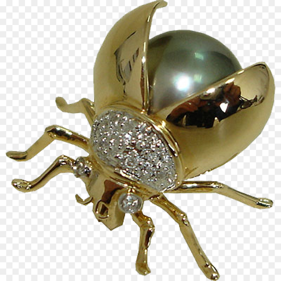 Broche，Insecte PNG