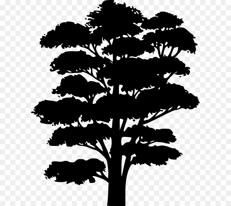 Silhouette D'arbre，Usine PNG