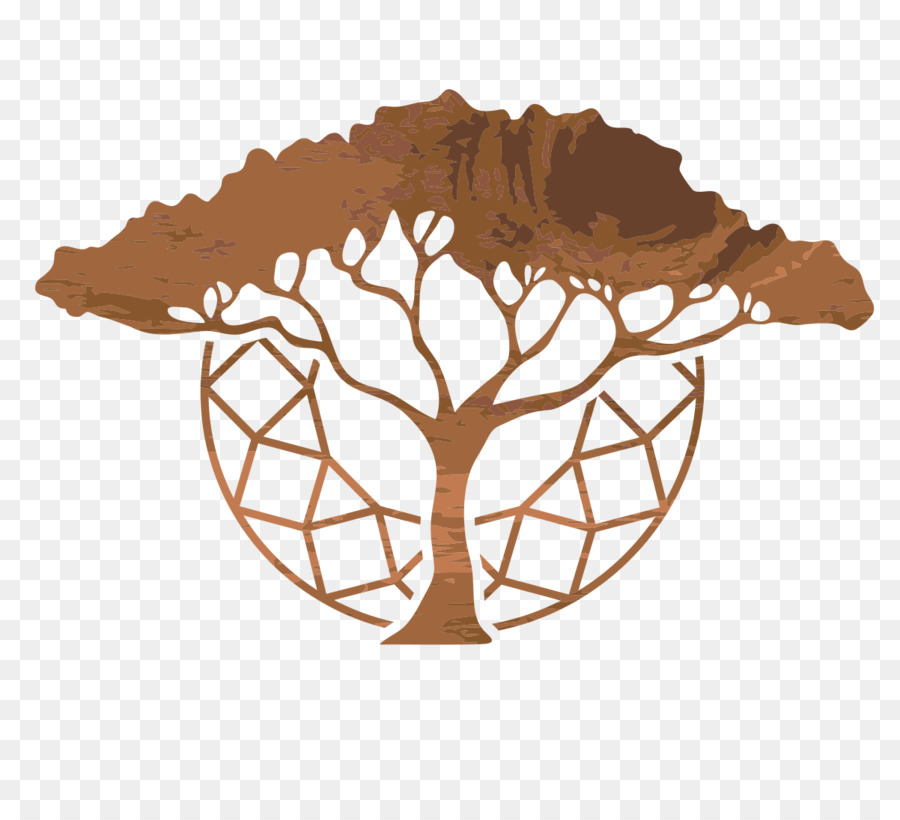 Arbre，Acacia PNG