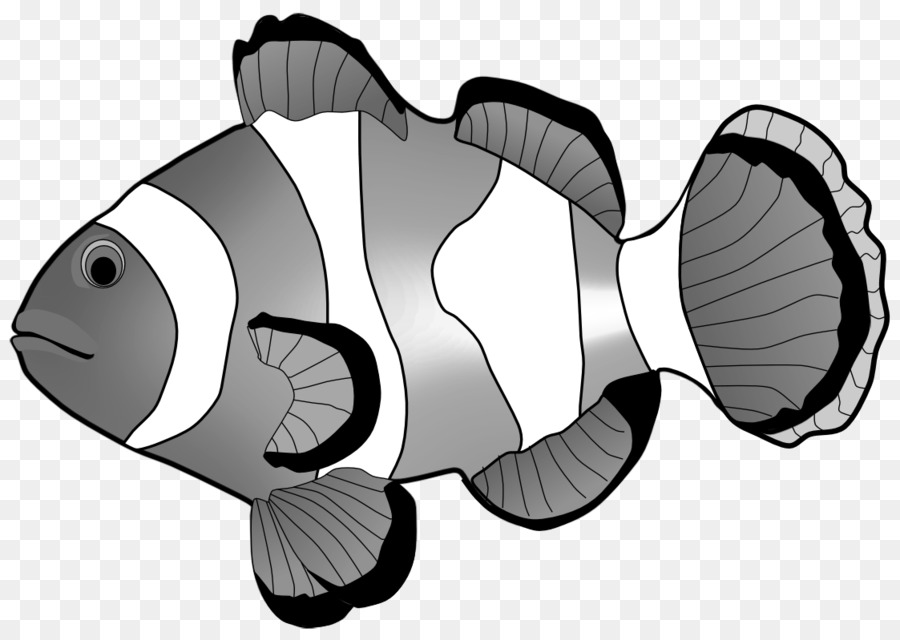 Poisson Clown，Aquarium PNG