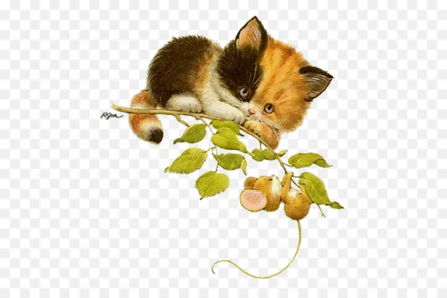 Chaton，Bifurquer PNG