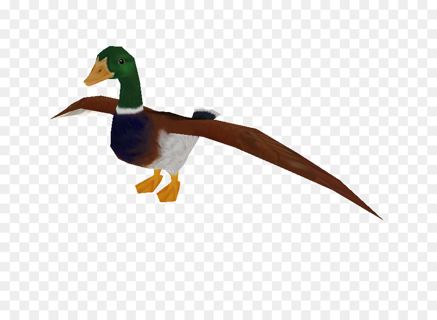 Mallard，Canard PNG