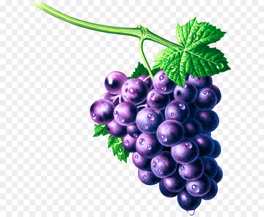 Raisins Violets，Vigne PNG