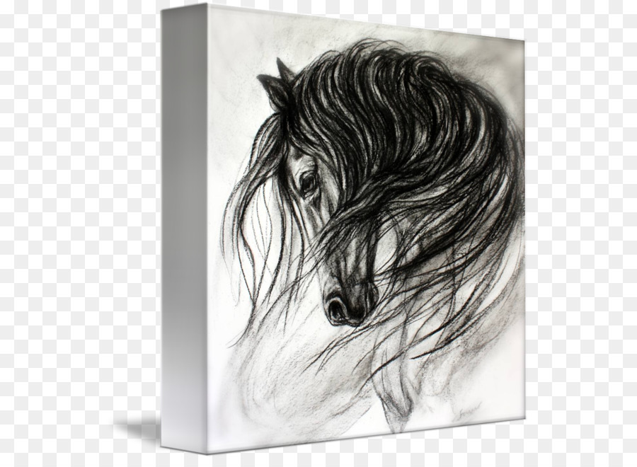 Dessin，Cheval PNG