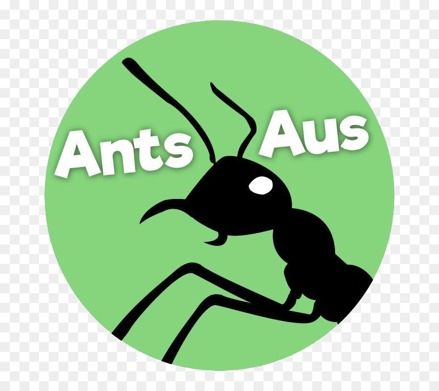 Fourmi，Aus Fourmis PNG