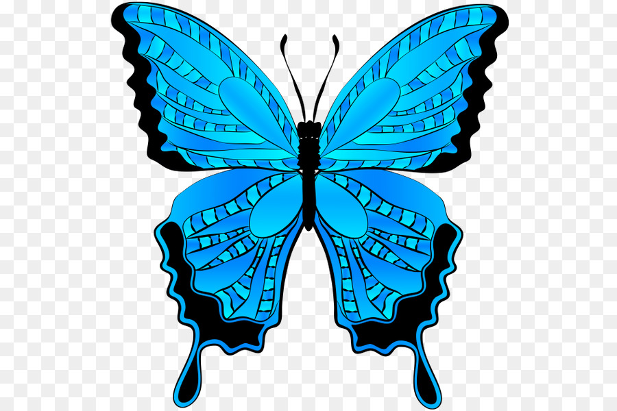 Papillon Bleu，Ailes PNG