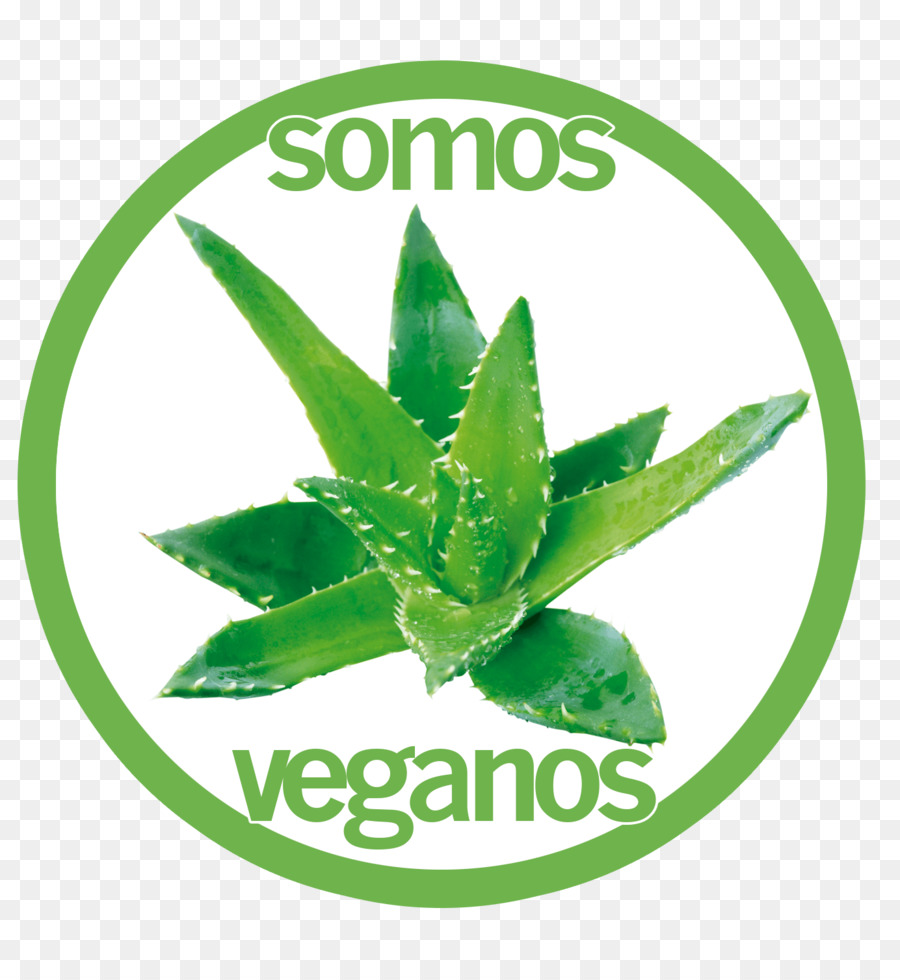 L Aloe Vera，La Peau PNG