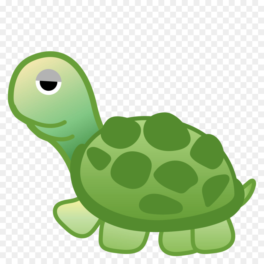 Tortue，Reptile PNG