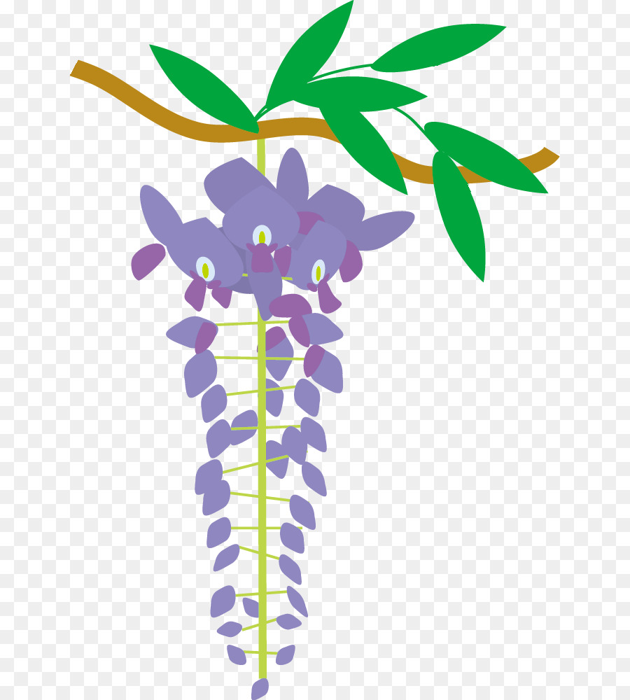 Glystigasie Japonaise，Fleur PNG