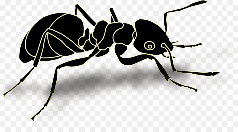 Fourmi，Insecte PNG