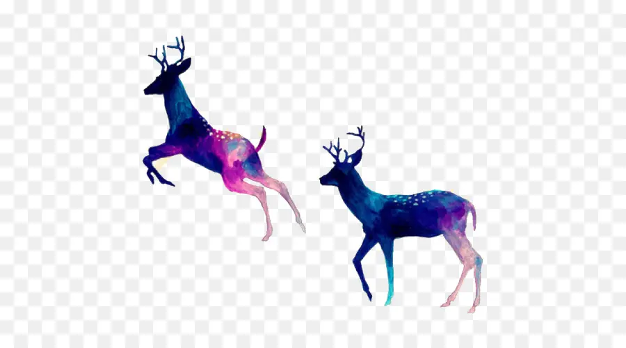 Cerf，Bois PNG