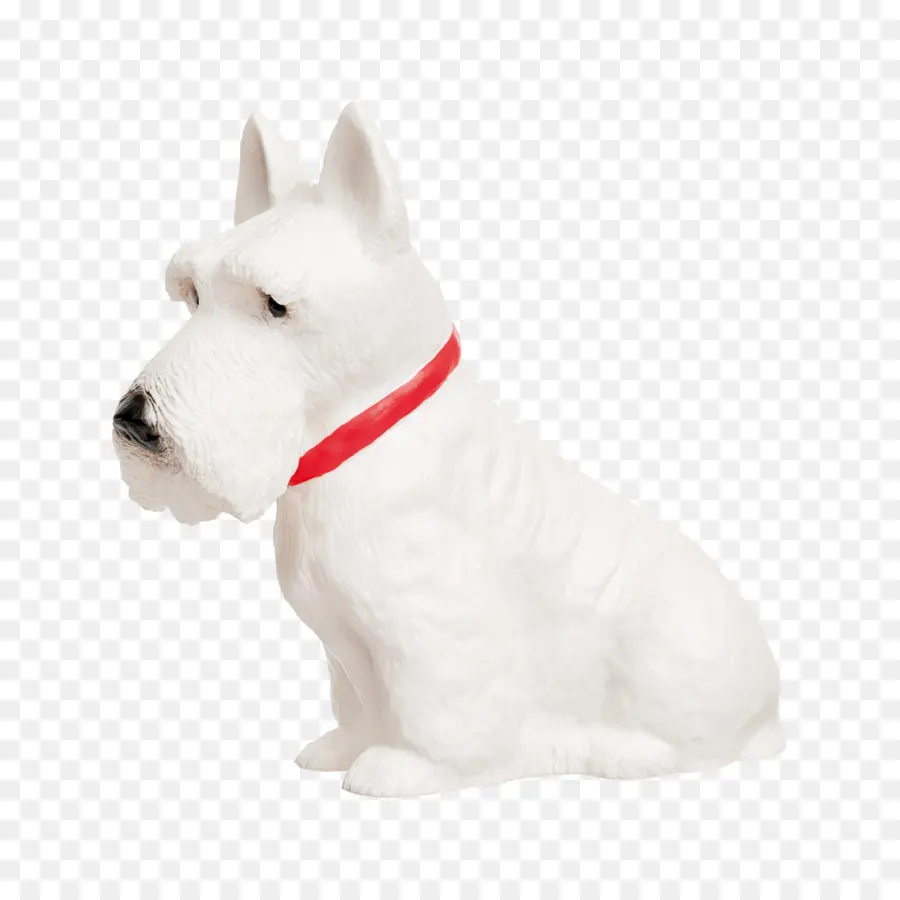 Chien Blanc，Animal De Compagnie PNG