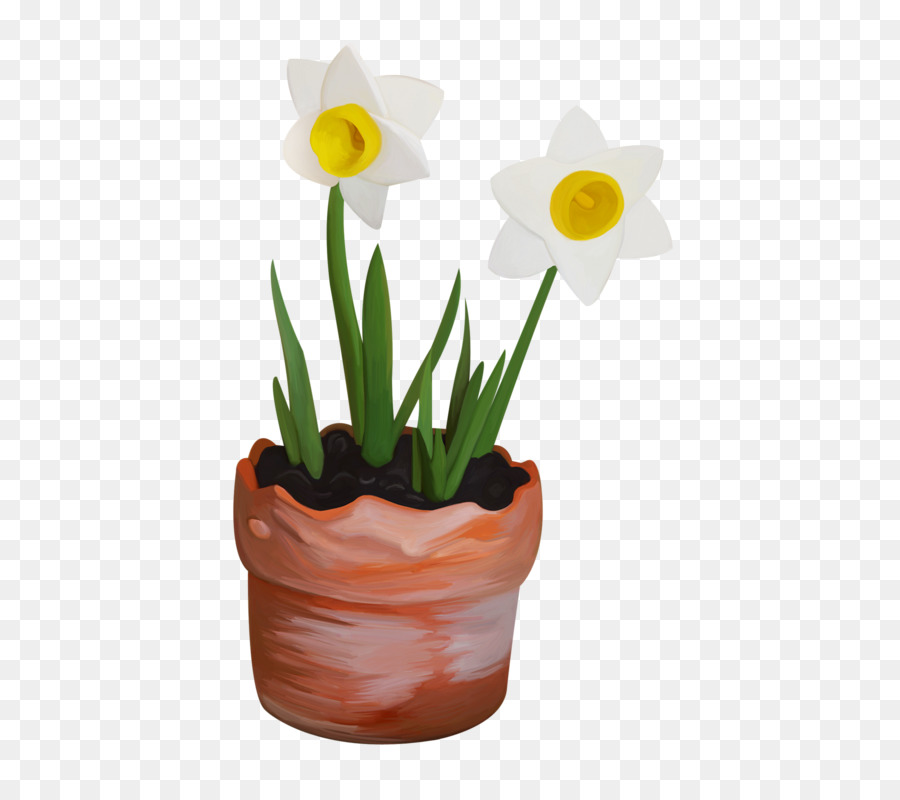 Narcisse，Flowerpot PNG