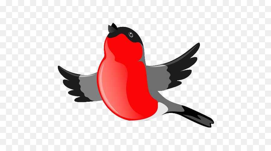 Oiseau Rouge，Vol PNG