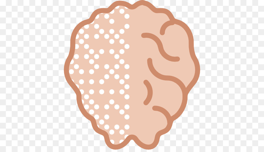 Cerveau，Le Cerveau Humain PNG