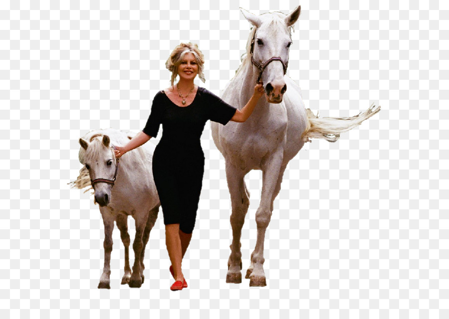 Femme Avec Deux Chevaux Blancs，Femme PNG