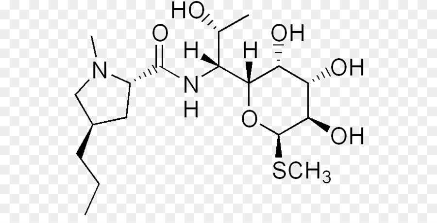 La Lincomycine，Les Lincosamides PNG
