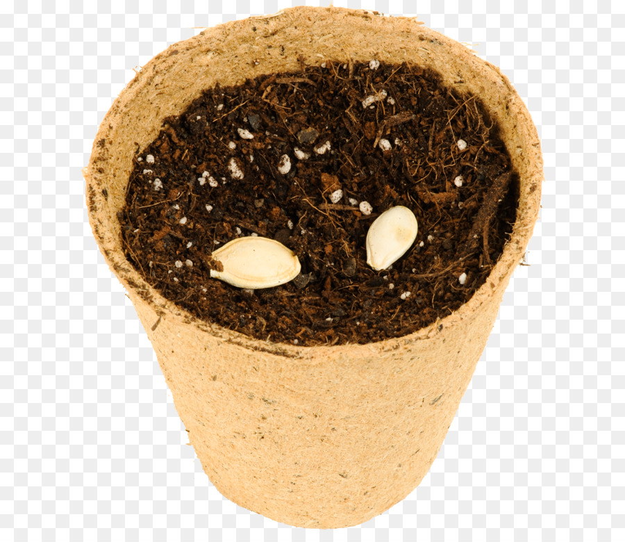 Sol，Flowerpot PNG