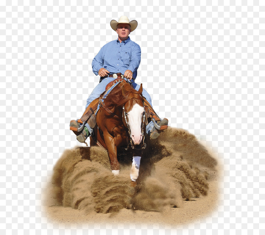 Cowboy à Cheval，Cavalier PNG