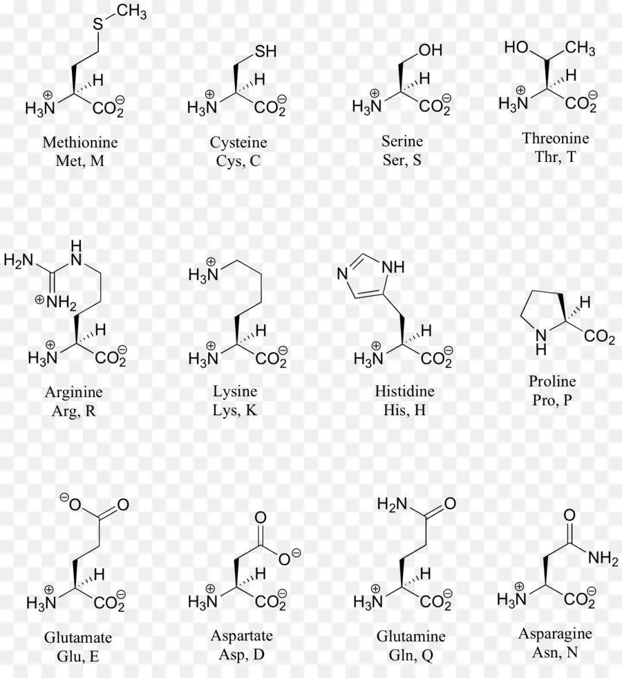 Molécules De Cocaïne，Structure PNG