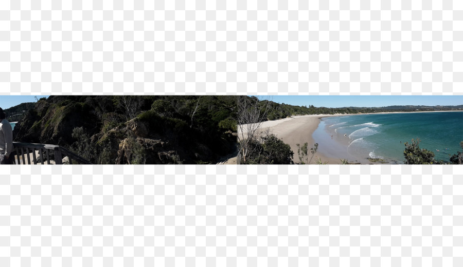 Arbre，Panorama PNG